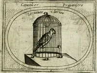 An illustration from Teatro d'imprese (1623)