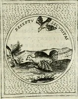 An illustration from Teatro d'imprese (1623)