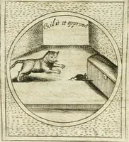 Picture 412 of 765 from Teatro d'imprese (1623), leaf 877