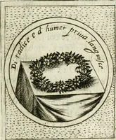 Picture 414 of 765 from Teatro d'imprese (1623), leaf 880