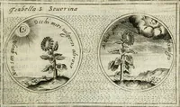 Picture 420 of 765 from Teatro d'imprese (1623), leaf 886
