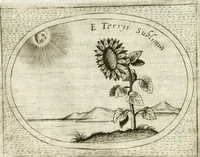Picture 421 of 765 from Teatro d'imprese (1623), leaf 887