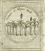 Picture 424 of 765 from Teatro d'imprese (1623), leaf 889