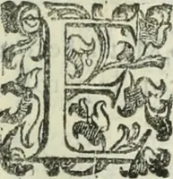 An illustration from Teatro d'imprese (1623)