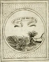 An illustration from Teatro d'imprese (1623)