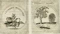 Picture 432 of 765 from Teatro d'imprese (1623), leaf 899
