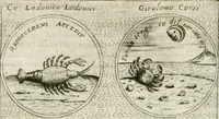 Picture 433 of 765 from Teatro d'imprese (1623), leaf 901