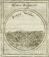 Picture 444 of 765 from Teatro d'imprese (1623), leaf 911