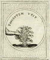 Picture 445 of 765 from Teatro d'imprese (1623), leaf 912