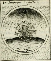 Picture 446 of 765 from Teatro d'imprese (1623), leaf 914