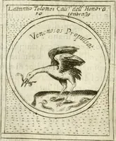 Picture 457 of 765 from Teatro d'imprese (1623), leaf 925