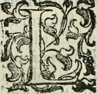 An illustration from Teatro d'imprese (1623)