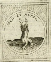 Picture 465 of 765 from Teatro d'imprese (1623), leaf 931
