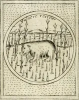 Picture 467 of 765 from Teatro d'imprese (1623), leaf 933