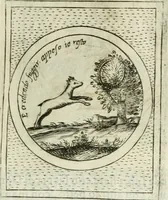 An illustration from Teatro d'imprese (1623)