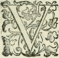 An illustration from Teatro d'imprese (1623)