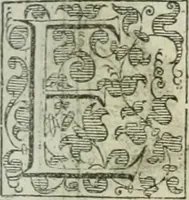An illustration from Teatro d'imprese (1623)