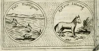 Picture 516 of 765 from Teatro d'imprese (1623), leaf 983