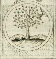 An illustration from Teatro d'imprese (1623)