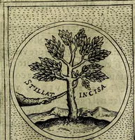 An illustration from Teatro d'imprese (1623)