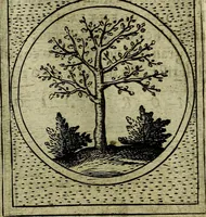 An illustration from Teatro d'imprese (1623)