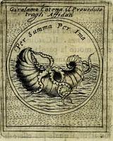 Picture 578 of 789 from Teatro d'imprese (1623), leaf 1025