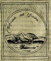 An illustration from Teatro d'imprese (1623)