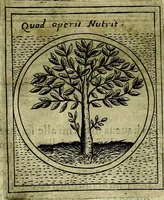 Picture 590 of 789 from Teatro d'imprese (1623), leaf 1035