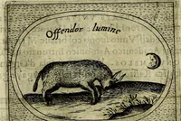 An illustration from Teatro d'imprese (1623)