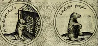 An illustration from Teatro d'imprese (1623)