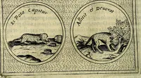 An illustration from Teatro d'imprese (1623)