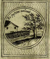 An illustration from Teatro d'imprese (1623)