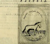 An illustration from Teatro d'imprese (1623)