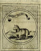 An illustration from Teatro d'imprese (1623)