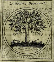 An illustration from Teatro d'imprese (1623)