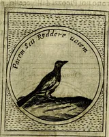 An illustration from Teatro d'imprese (1623)