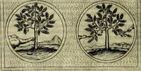 An illustration from Teatro d'imprese (1623)