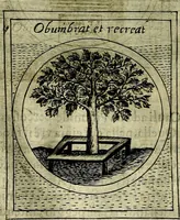 An illustration from Teatro d'imprese (1623)