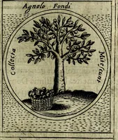 An illustration from Teatro d'imprese (1623)