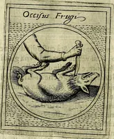 An illustration from Teatro d'imprese (1623)