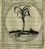 An illustration from Teatro d'imprese (1623)