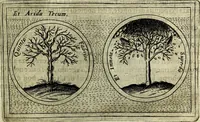An illustration from Teatro d'imprese (1623)