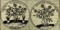 An illustration from Teatro d'imprese (1623)