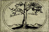 An illustration from Teatro d'imprese (1623)