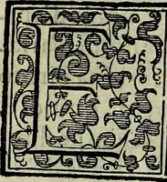 An illustration from Teatro d'imprese (1623)