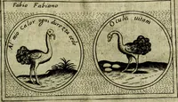 An illustration from Teatro d'imprese (1623)