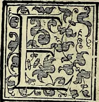 An illustration from Teatro d'imprese (1623)