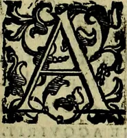 An illustration from Teatro d'imprese (1623)