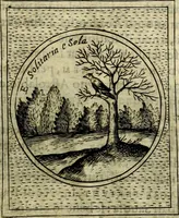 An illustration from Teatro d'imprese (1623)
