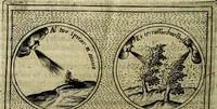 An illustration from Teatro d'imprese (1623)